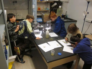 freshwater-ecology-lab
