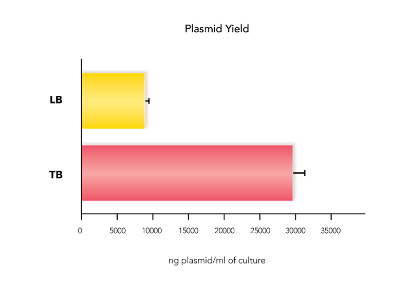 Plasmid Yield
