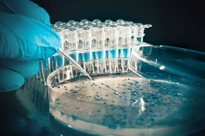 Agricultural Biotechnology Agricultural Biotechnology